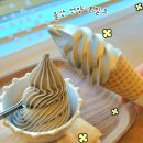 얼룩목장 | [울산]언양 유진목장 우유아이스크림 맛집 본밀크 내돈내산 솔직후기|본밀크 흑임자맛 밀크맛