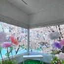 신정네거리역 3번출구(출입구 뒤, 복개천 입구 옆) | 서울 벚꽃명소 잠실데이트추천 석촌호수 실시간 개화상황 &#34;문화실험공간 호수&#34;