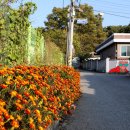 후용초등학교 이미지