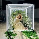마이패션레나 | [공지] 8년차 오타쿠의 이제서야 적어보는 애니 96문 96답 (애니 100문 100답)