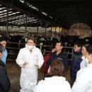 포항축산업협동조합 이미지