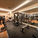 티케이 바디핏 이미지