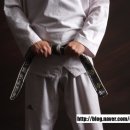 비룡태권도체육관 이미지