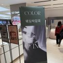 컬러인웨딩 | 더현대서울 컬러인웨딩 박람회 후기 / 가든 느낌 웨딩홀 추천