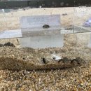 봉평1리마을회관 이미지