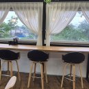 애견시선 이미지