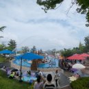 해피주 동물카페 원주점 이미지