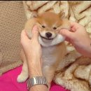 경북대학교 산업대학원 이미지