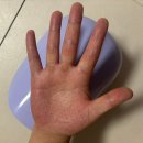 3에이치스마트지압침대 | [풀리오 손마사지기 V2] 지압 자국 팍팍 찍히는 10분 케어! 실제 사용 후기