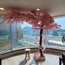 낙지발이 몇개고 이미지