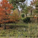 압해 송공산성 이미지