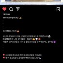 트리앤캠프스토리 이미지