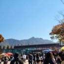 #서울대공원방문후기 (코로나이후 no마스크로 처음 방문한 놀이동산)