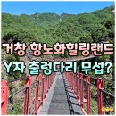 애니카랜드 경남고성점 | 거창 항노화힐링랜드 y자 출렁다리 소요시간 계단 길이 요금 주차장 후기