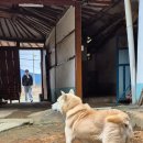 진도건강약국 이미지