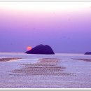 해뜨는 아침 이미지