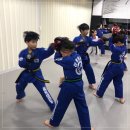 용인대 마북 태권도 이미지