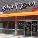 은행나무갈매기 이미지