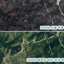 산불 복원? 이미지