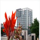 제2서강빌딩 이미지