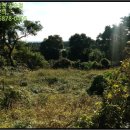 토산보건진료소 이미지