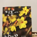 딩동~ 나무 꽃 도감으로 공원 산책 놀이하기