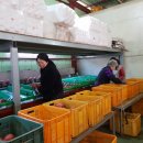 농업회사법인(주)하늘호수 이미지