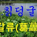 시경 이미지