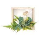 포레스트31 이미지