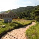 산림욕장 이미지