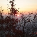 신광면/비학산 이미지