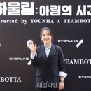 하울림 데일리안