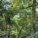 씨유 관산수향점 이미지