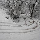 윤성농장 이미지