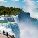 나이아가라식당 이미지