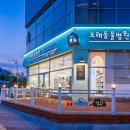 도래무아 이미지