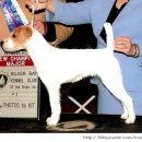 두테리어 이미지