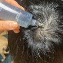 식산에너지 이미지