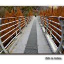 장태산휴양림 이미지