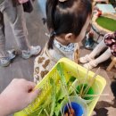 3948 | 대구동물체험/ 경산아이와가볼만한곳, 다솜생태체험관경산 후기