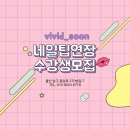 비비드순