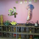 와우하우스 이미지