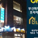 부산강아지분양 고양이분양 베스트펫 본점 이미지