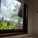 에프터눈 | 더 카욘 정글 리조트 요가 및 에프터눈티 후기