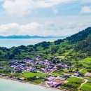 반월도퍼플펜션 이미지