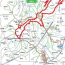 황령산 편백단지 이미지