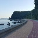 금호리조트(주)통영마리나 이미지