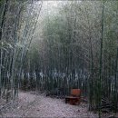 숲소리마을 이미지