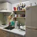 쉬다가게 | 제주도 서귀포 애견동반숙소 쉬다가게 내돈내산 방문후기