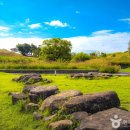 강변시민공원 공도교 벤치 옆 | [대구 동구] 대구 불로동 고분군 - 전 견종 가능 · 맹견 입마개 · 목줄 착용 · 배변봉투 지참